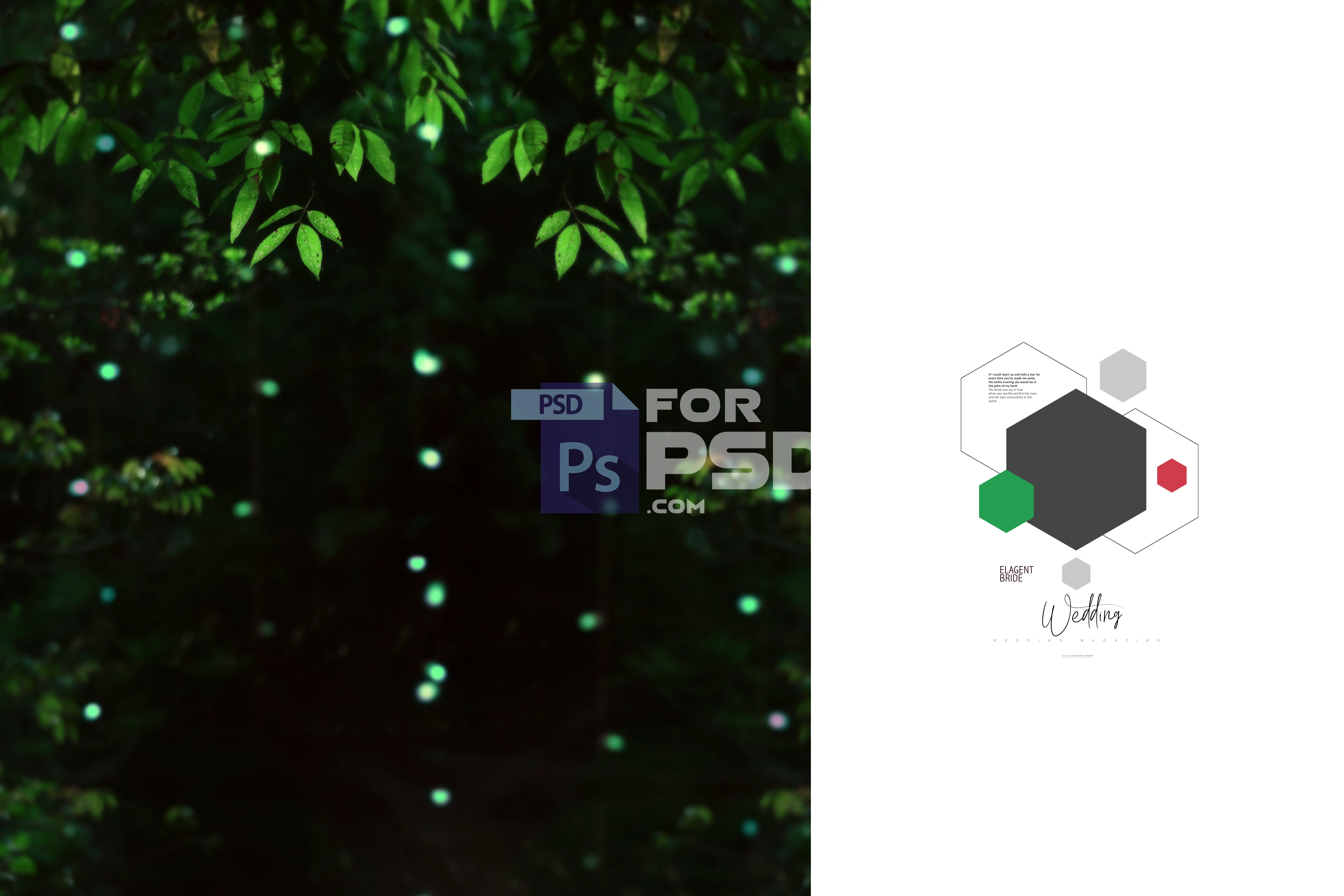 Image Preview